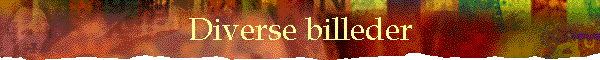 Diverse billeder