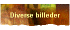 Diverse billeder