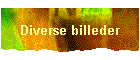 Diverse billeder
